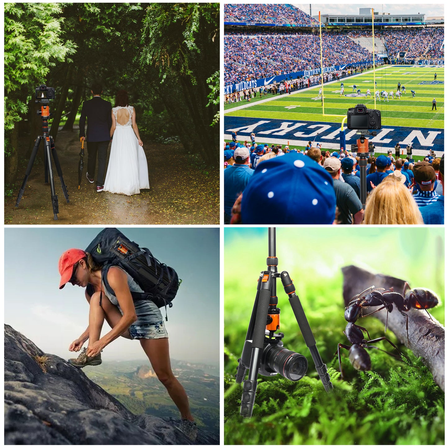 VICTIV Camera Tripod 81 inches Monopod, Aluminum Travel Tripod for DSLR- AT26 Orange