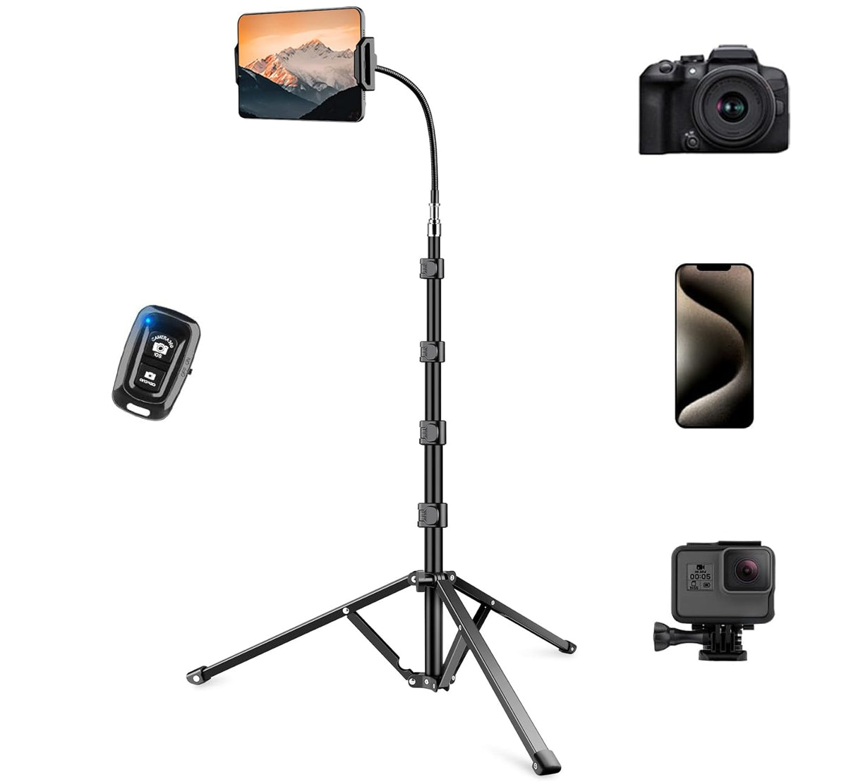 Phone and Tablet Stand