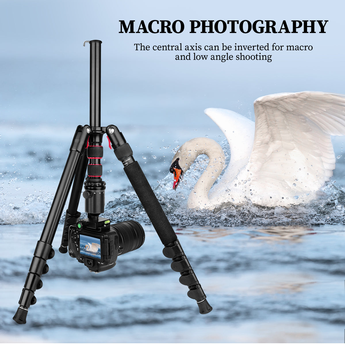 Professional Tripod for Camera, Victiv 81 inch Aluminium Compact Travel Camera Tripod Monopod Heavy Duty with Phone Mount, Compatible with Canon Nikon Sony(us)