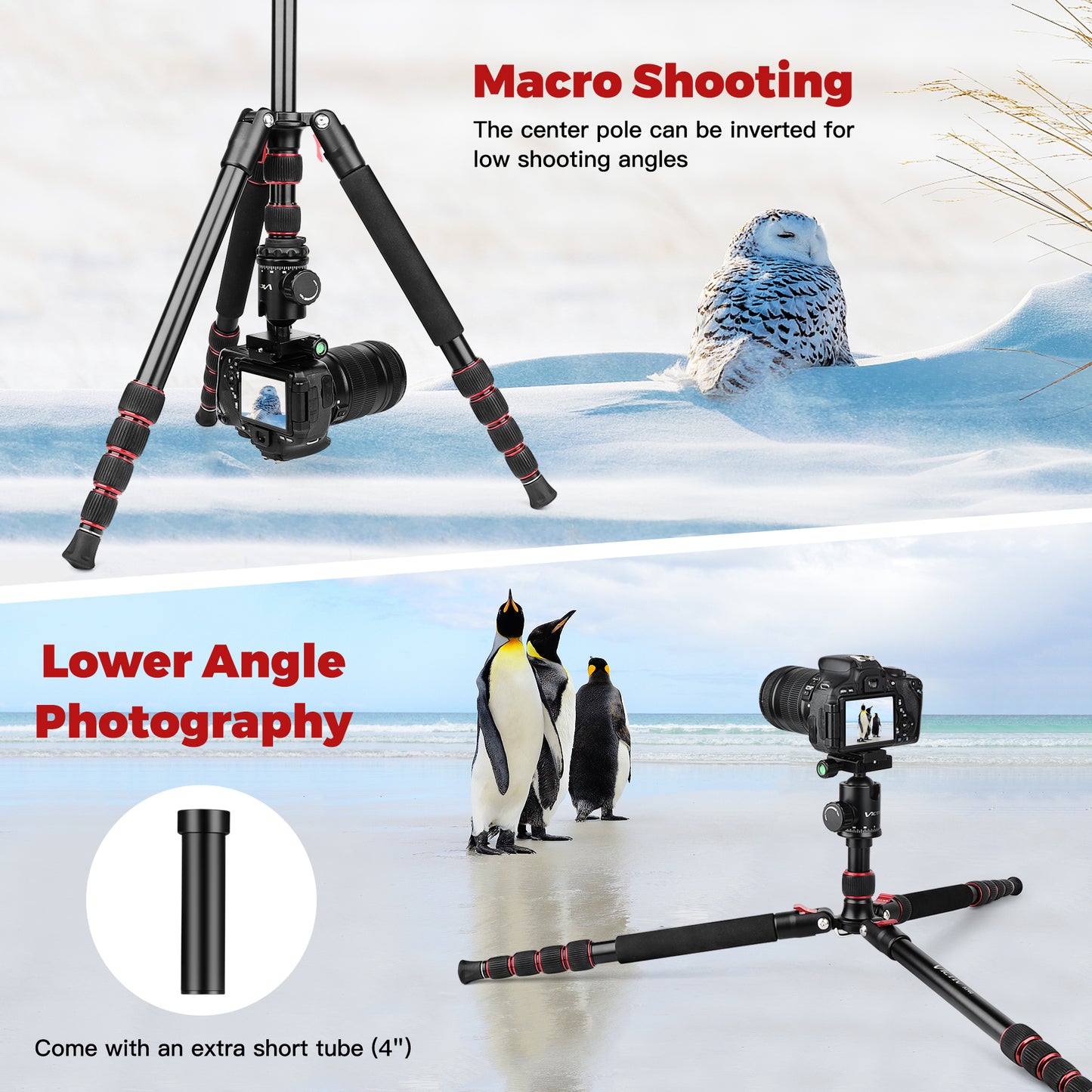 Camera Tripod, 80" Aluminum Heavy Duty Camera Tripod Stand with 360° Ball Head, Phone Holder & Carry Bag, Professional Camera Tripods & Monopods for Camera, Phone, 34lb Max Load(US)