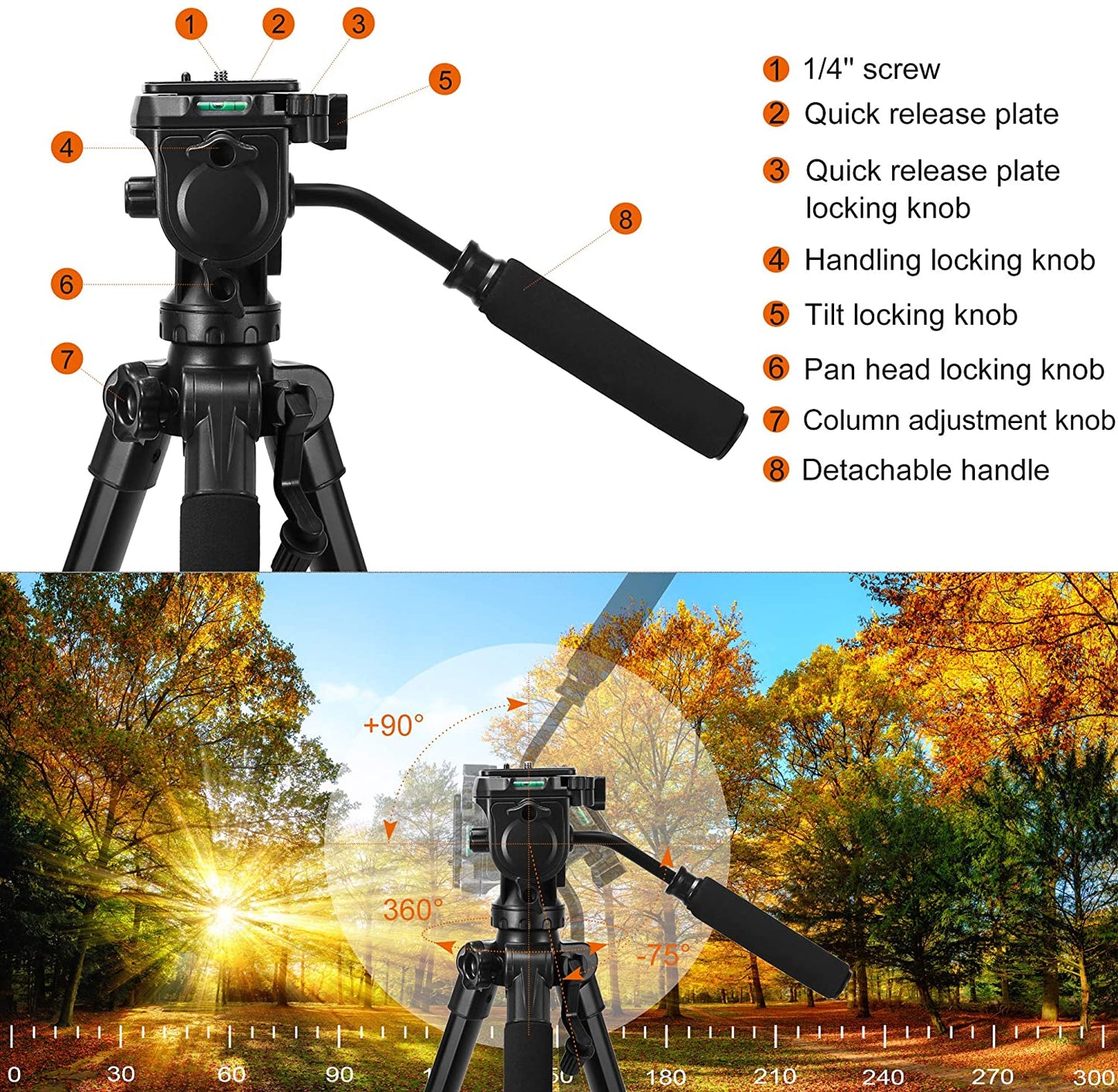 Tripod for Camera, 75 inch DSLR Tripod for Canon Nikon iPhone Smartphone iPad Tablet - Professional Video Tripod 15 lbs Loads with 2 Quick Release Mounts and Carry Case