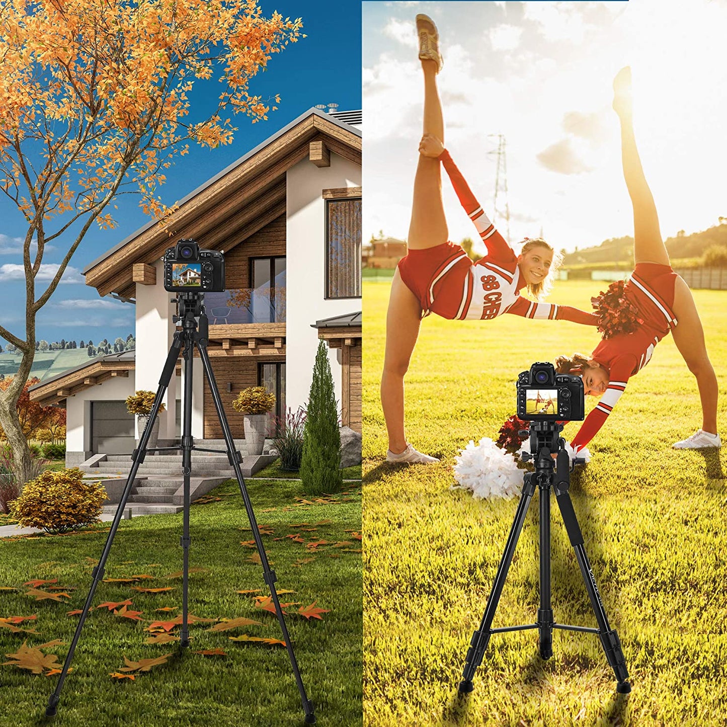 Tripod for Camera, 75 inch DSLR Tripod for Canon Nikon iPhone Smartphone iPad Tablet - Professional Video Tripod 15 lbs Loads with 2 Quick Release Mounts and Carry Case